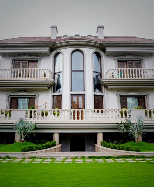 DDivine Group