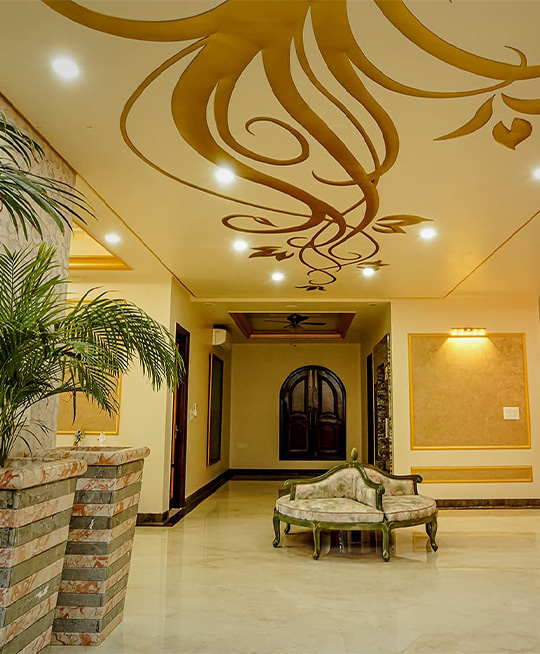 DDivine Group